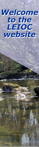 ad banner
