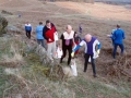 bradgate10_600