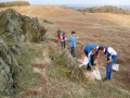 bradgate11_600