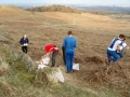 bradgate12_600